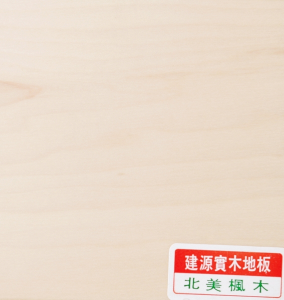 珍木北美楓木