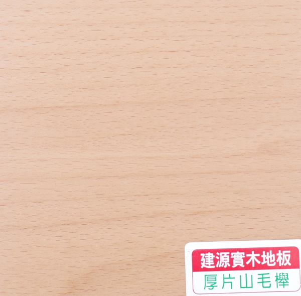 厚片山毛櫸